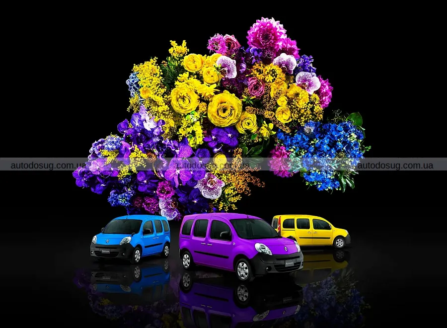 Яскравий Renault Kangoo приїхав у Японію серією