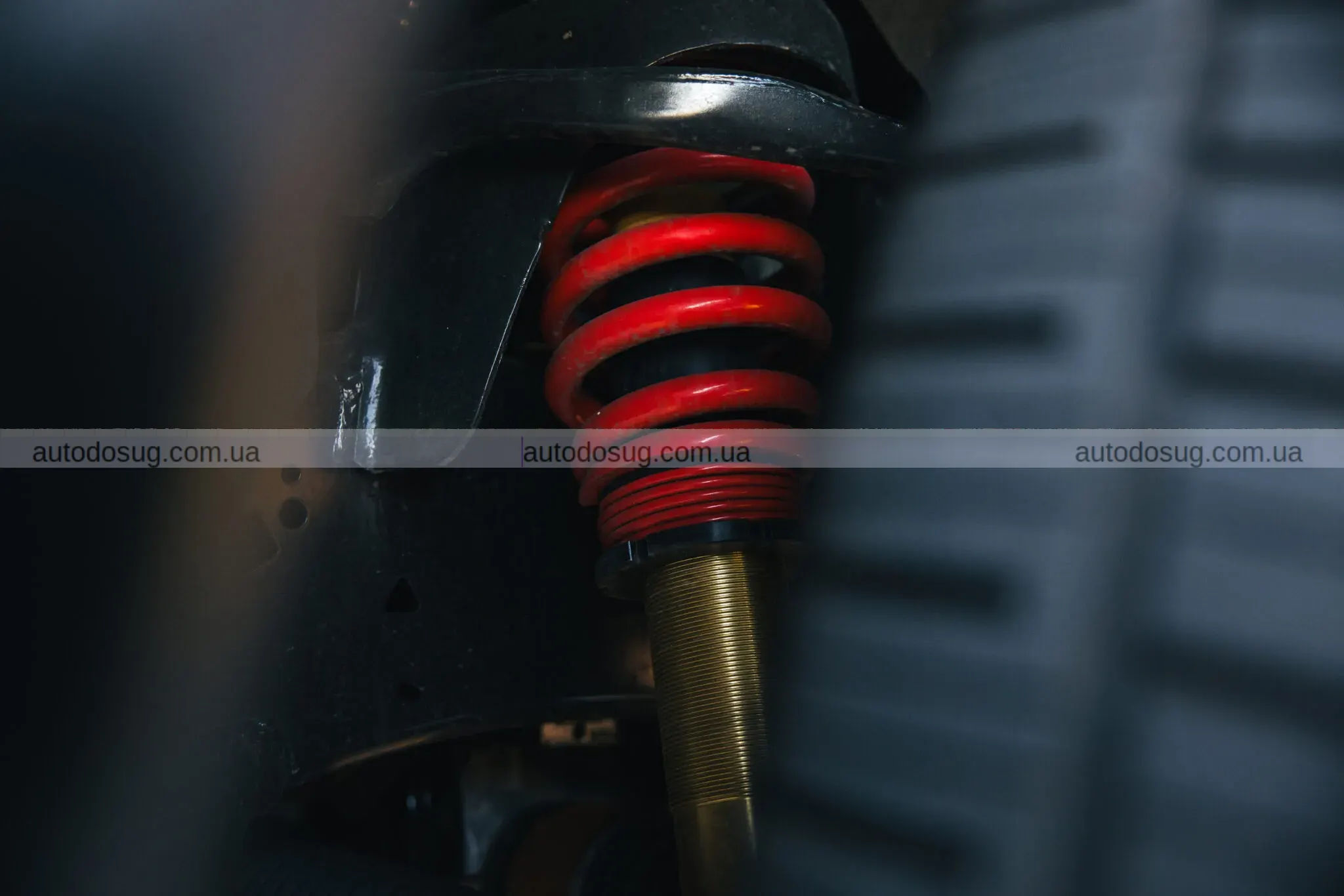 Roush створив нічний кошмар і цей пікап рве асфальт