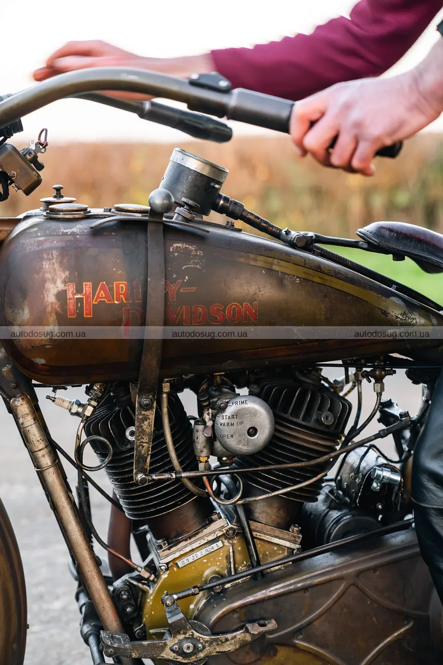 Гараж Момоа поповнили електричні Harley і Land Rover