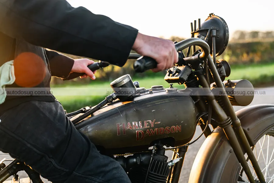 Гараж Момоа поповнили електричні Harley і Land Rover