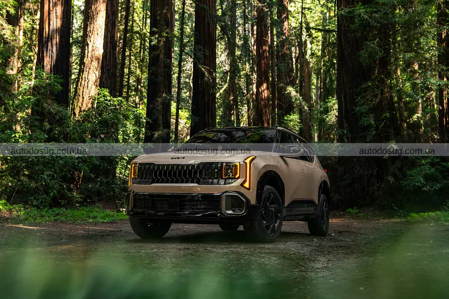 Новий Kia Seltos подорожчав і розкрив версії