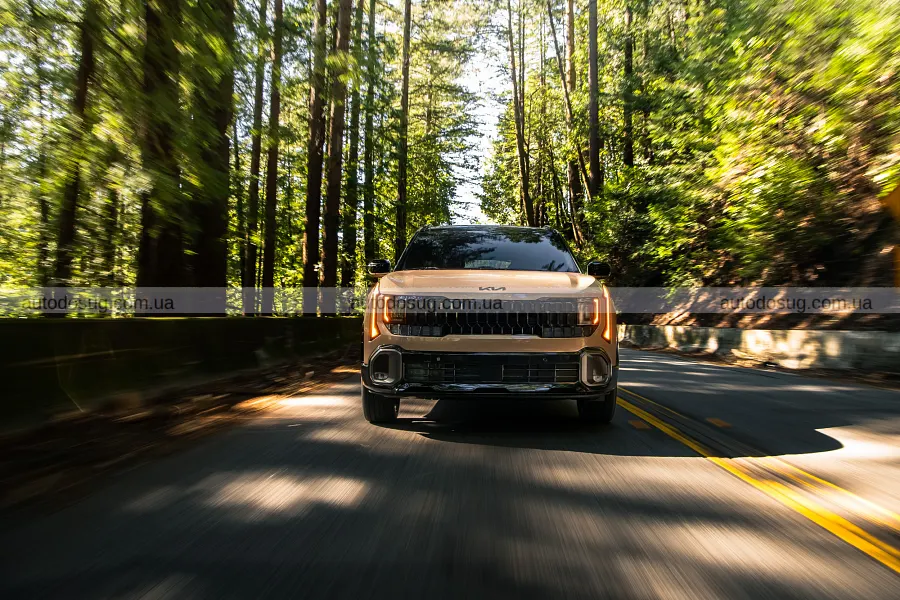 Новий Kia Seltos подорожчав і розкрив версії