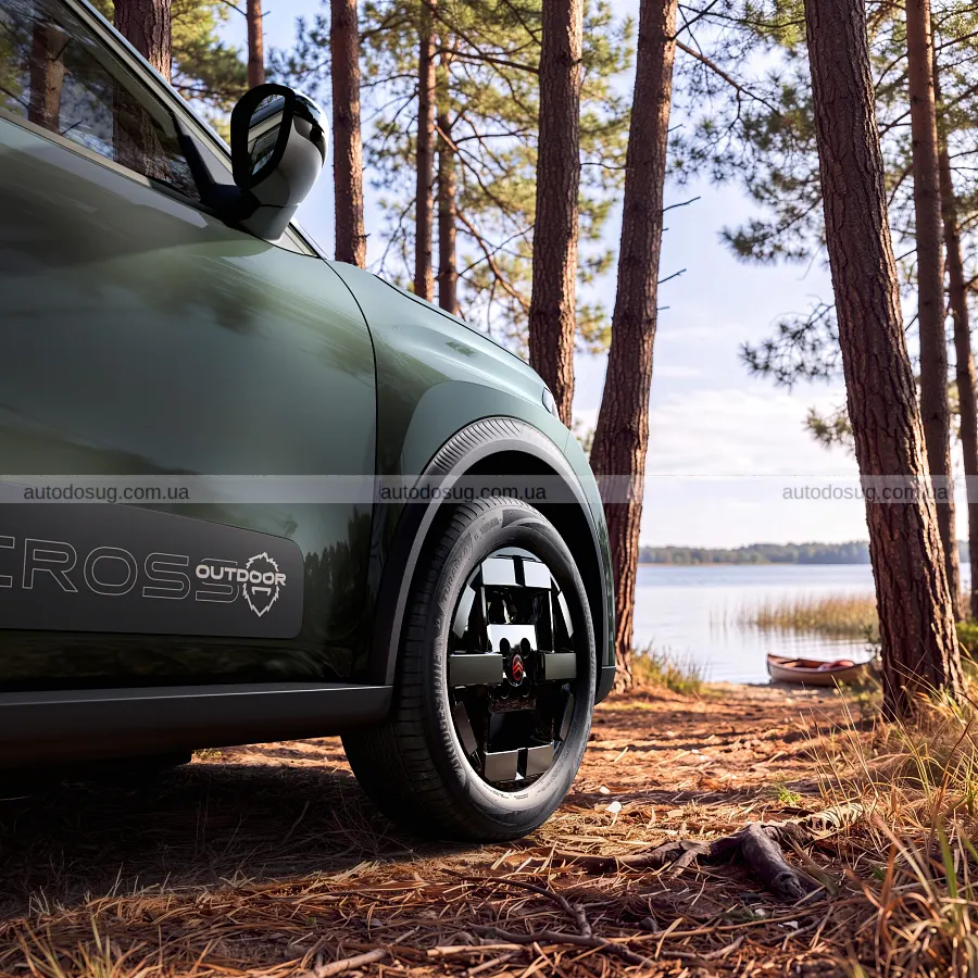 Citroen додав характеру міським C3, Aircross і Ami