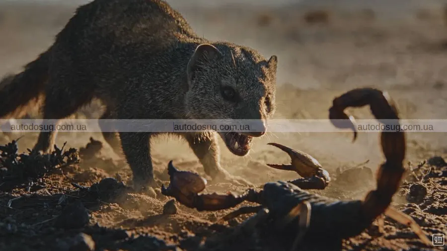 GM натякнула на Ford новим дизелем Mongoose