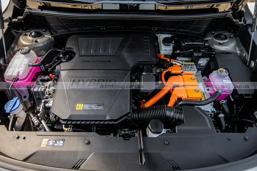 Kia Niro додав у ціні й став багатшим