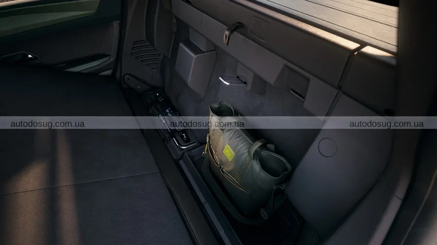 Renault вивела Niagara і зробила її схожою на SUV